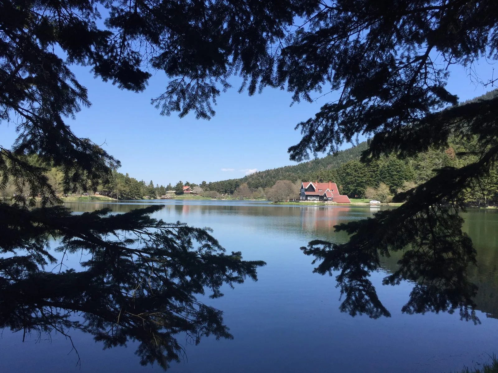 Lake Abant on a misty morning — the source region of BoluPınar water in Turkey's Bolu mountains